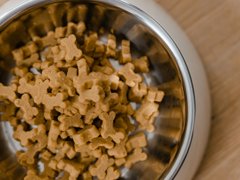 Vyrobte psí sušenky z ingrediencí, které už máte doma: 4 recepty pro vašeho mazlíčka