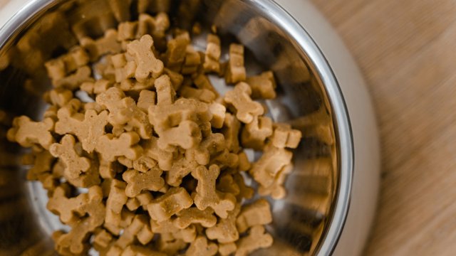 Vyrobte psí sušenky z ingrediencí, které už máte doma: 4 recepty pro vašeho mazlíčka